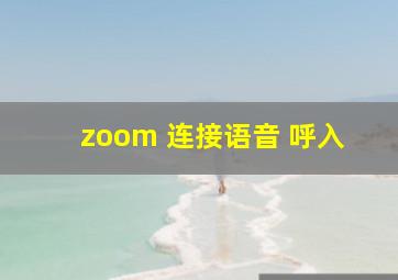 zoom 连接语音 呼入